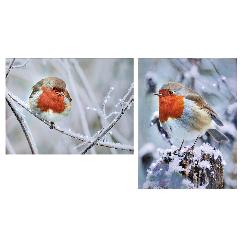 40x30cm - LED Robin Canvas