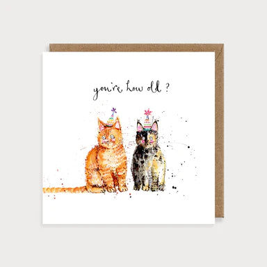 Cats You're How Old?