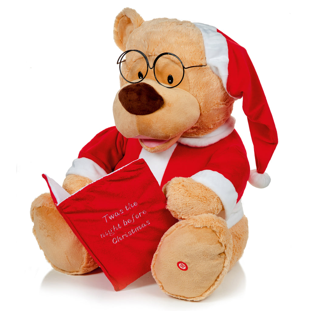 70cm Story Telling Bear