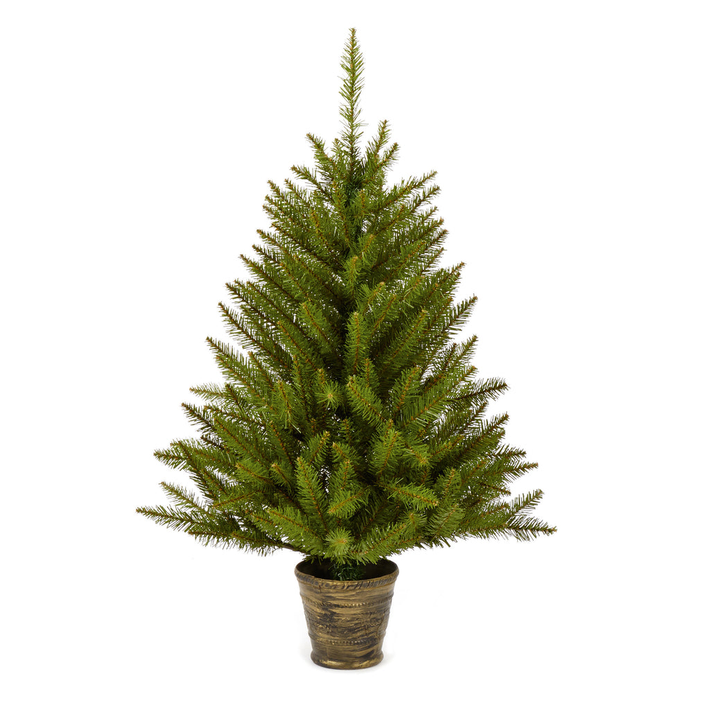 90cm California Spruce In Pot
