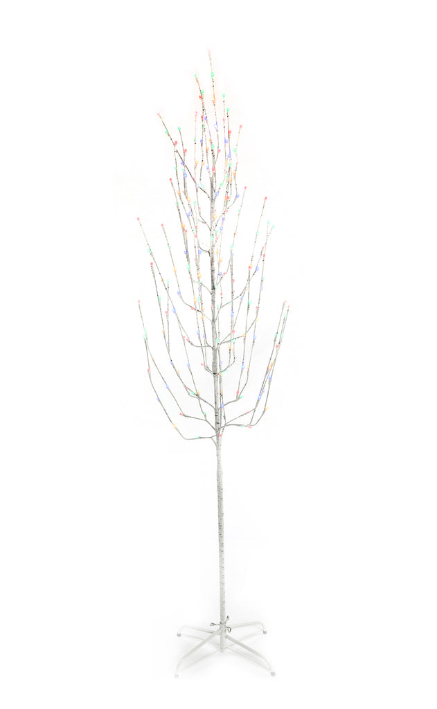 2.1M 210L BIRCH ANGEL TREE MC 5M CABLE