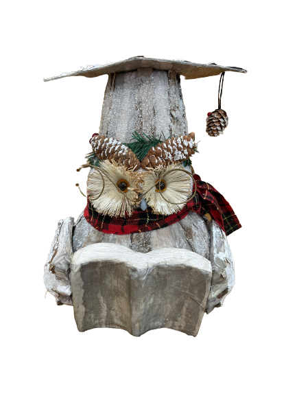 29 cm - Bookworm Owl