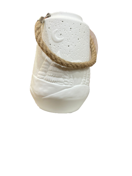 Winter Scene Lantern Luminaire