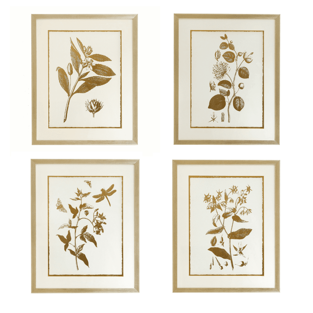 Mindy Browne Summer Prints (Set of 4)