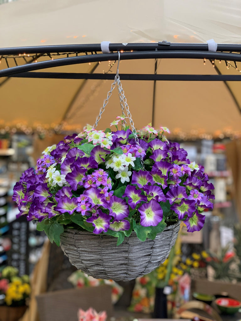 Petunia Hanging Basket