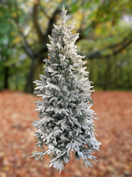7FT Frosted Mckinley Spruce