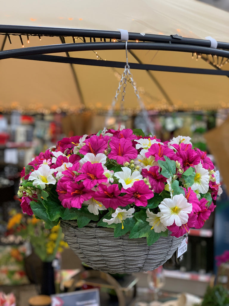 Petunia Hanging Basket