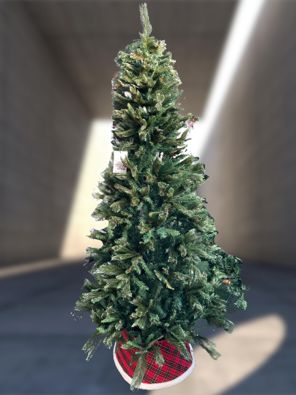 7FT - Manhattan Fir
