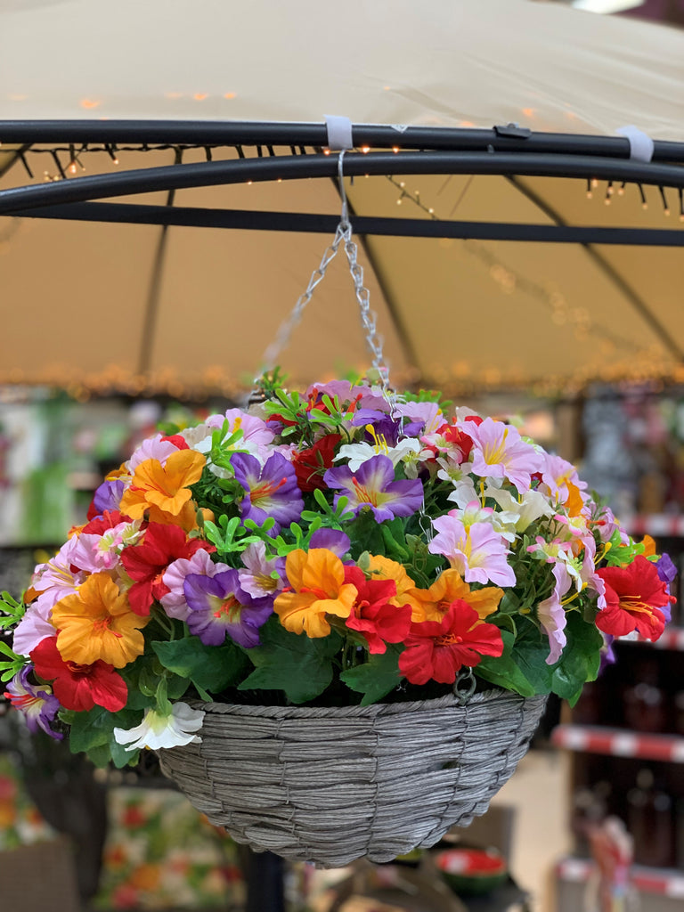 Petunia Hanging Basket