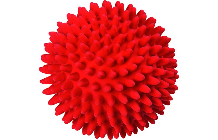 DOG TOY - LATEX SPIKY BALL