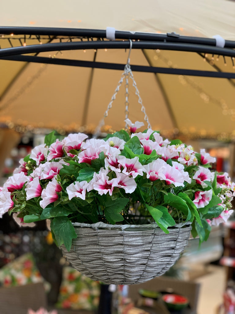Petunia Hanging Basket