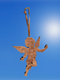 Sticky Image