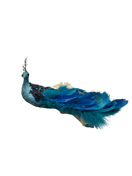 25cm - Long Tail Peacock Clip