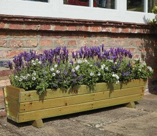 Natures Range Harlow Trough Planter