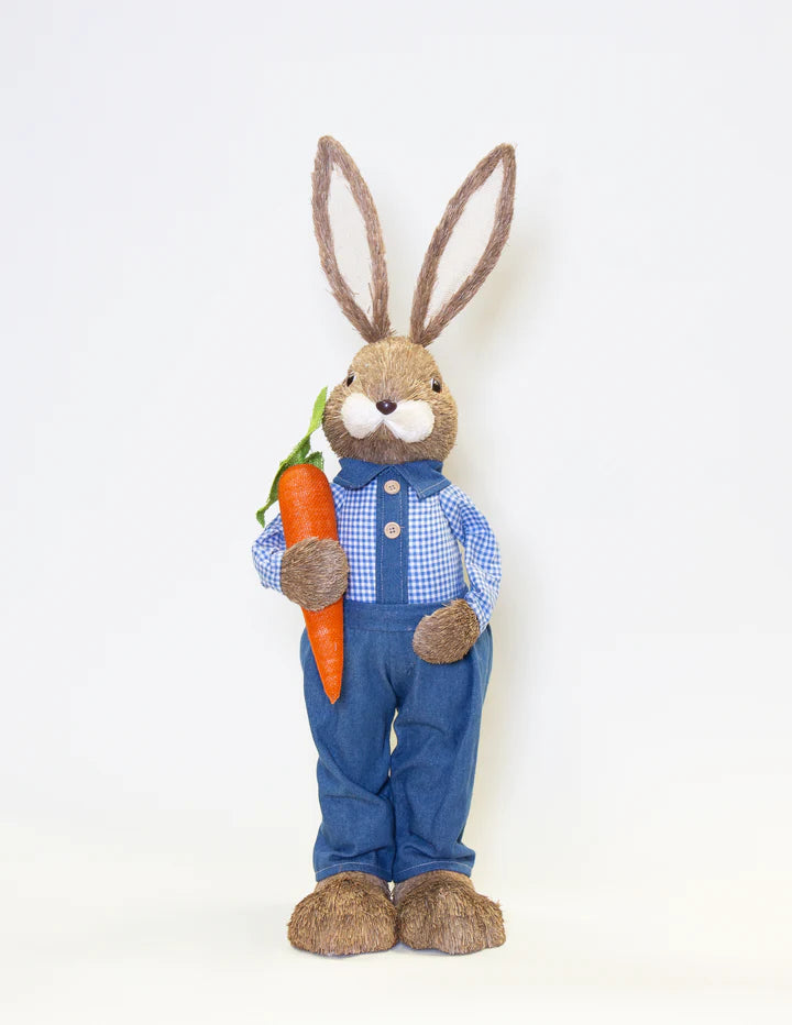 Mr Rabbit with Blue Waist Coat