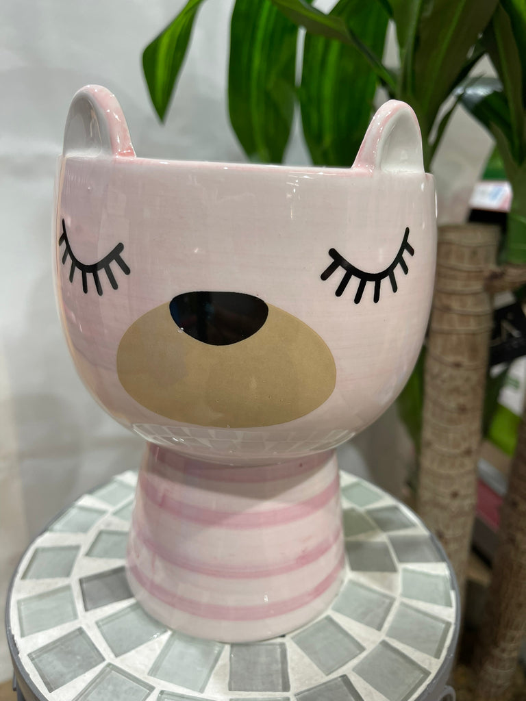 pot animal 2 asstd